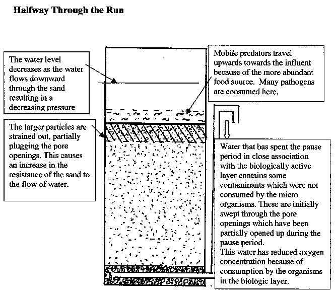 diagram_4.jpg